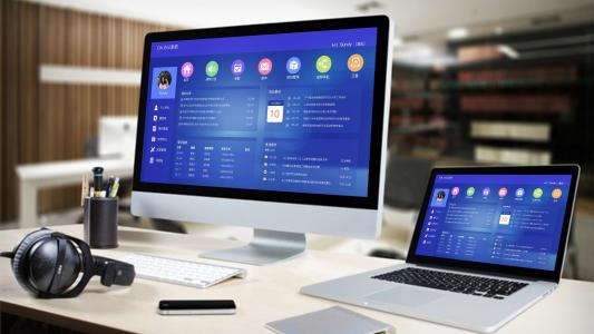 決定OA系統(tǒng)項目復雜與難易程度的主要因素是什么？